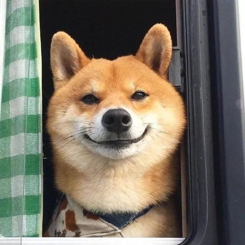 Hary Tanoe avatar